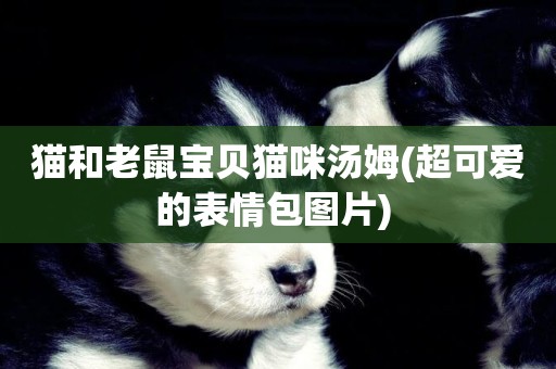 貓和老鼠寶貝貓咪湯姆(超可愛的表情包圖片) 