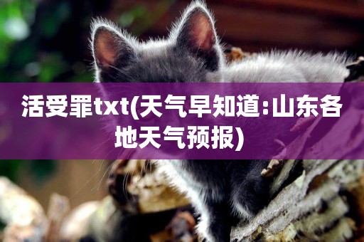 活受罪txt(天氣早知道:山東各地天氣預報) 