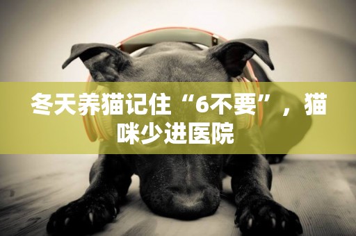 冬天養貓記住“6不要”，貓咪少進醫院 