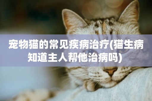 寵物貓的常見疾病治療(貓生病知道主人幫他治病嗎) 