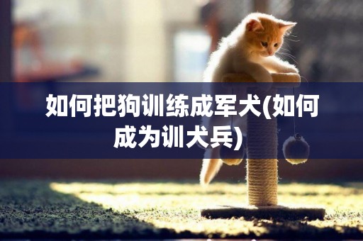 如何把狗訓練成軍犬(如何成為訓犬兵) 