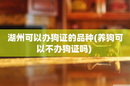 湖州可以辦狗證的品種(養狗可以不辦狗證嗎) 