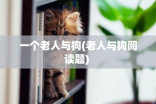 一個老人與狗(老人與狗閱讀題) 