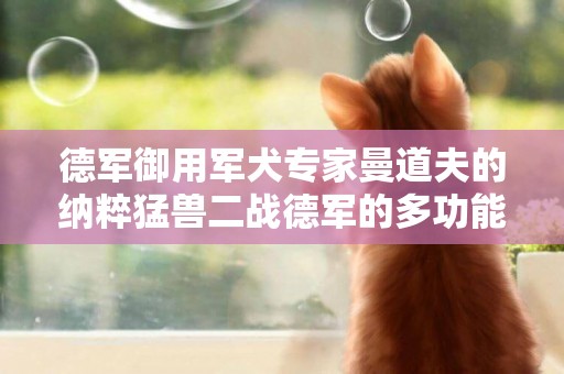 德軍御用軍犬專家曼道夫的納粹猛獸二戰德軍的多功能軍犬 