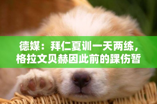 德媒：拜仁夏訓一天兩練，格拉文貝赫因此前的踝傷暫只能個人訓練 