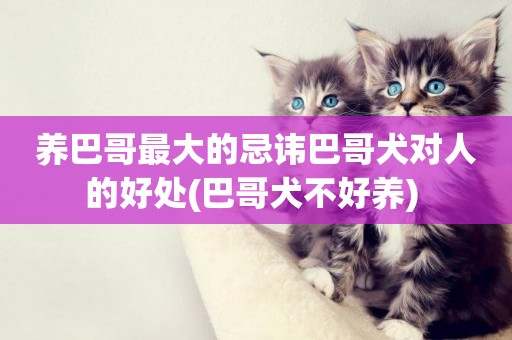 養巴哥最大的忌諱巴哥犬對人的好處(巴哥犬不好養) 