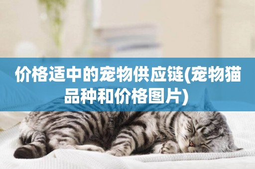 價格適中的寵物供應鏈(寵物貓品種和價格圖片) 