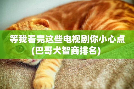 等我看完這些電視劇你小心點(巴哥犬智商排名) 