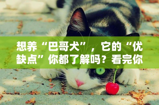 想養“巴哥犬”，它的“優缺點”你都了解嗎？看完你就知道了 