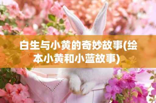 白生與小黃的奇妙故事(繪本小黃和小藍故事) 