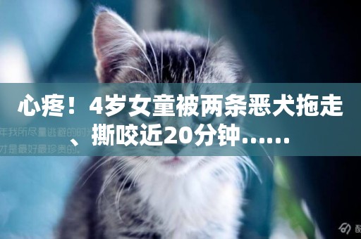 心疼！4歲女童被兩條惡犬拖走、撕咬近20分鐘…… 