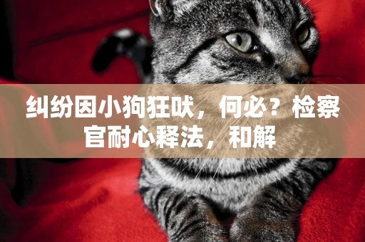 糾紛因小狗狂吠，何必？檢察官耐心釋法，和解 
