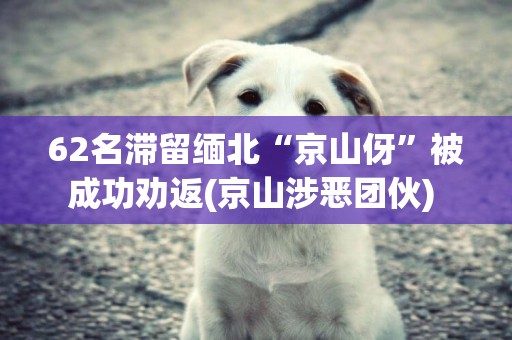 62名滯留緬北“京山伢”被成功勸返(京山涉惡團伙) 