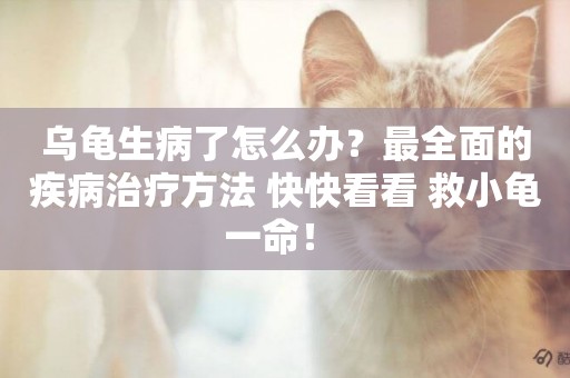 烏龜生病了怎么辦？最全面的疾病治療方法 快快看看 救小龜一命！ 