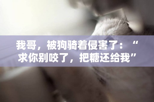 我哥，被狗騎著侵害了：“求你別咬了，把糖還給我” 