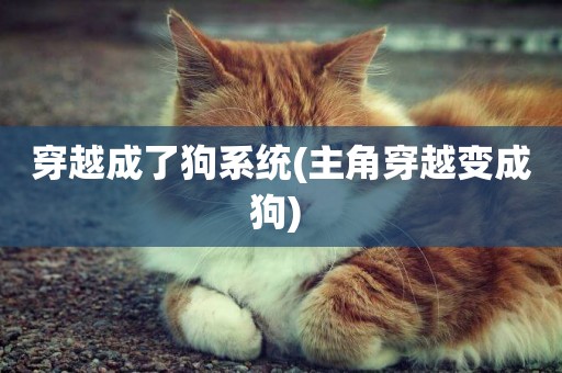 穿越成了狗系統(主角穿越變成狗) 