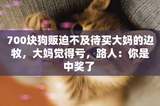 700塊狗販迫不及待買大媽的邊牧，大媽覺得虧，路人：你是中獎了 