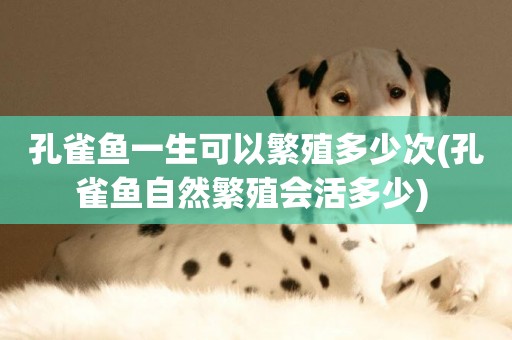 孔雀魚一生可以繁殖多少次(孔雀魚自然繁殖會活多少) 