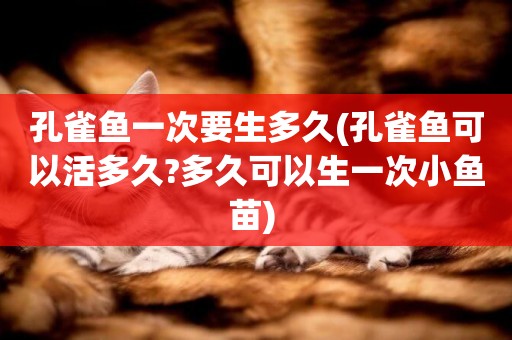 孔雀魚一次要生多久(孔雀魚可以活多久?多久可以生一次小魚苗) 