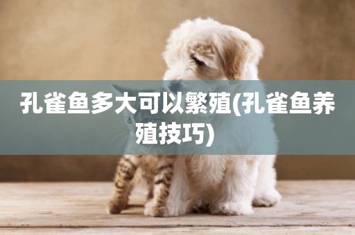 孔雀魚多大可以繁殖(孔雀魚養殖技巧) 