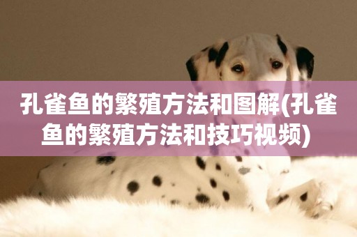 孔雀魚的繁殖方法和圖解(孔雀魚的繁殖方法和技巧視頻) 