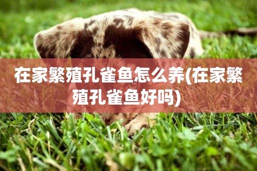 在家繁殖孔雀魚怎么養(在家繁殖孔雀魚好嗎) 