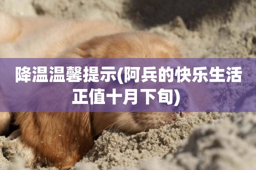 降溫溫馨提示(阿兵的快樂生活正值十月下旬) 