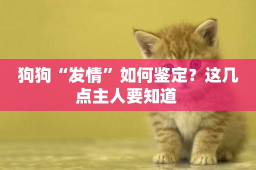 狗狗“發情”如何鑒定？這幾點主人要知道 