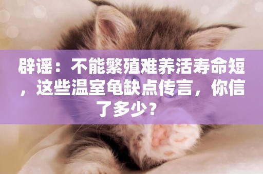 辟謠：不能繁殖難養活壽命短，這些溫室龜缺點傳言，你信了多少？ 