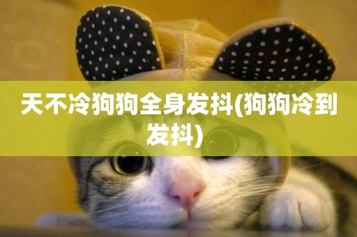 天不冷狗狗全身發抖(狗狗冷到發抖) 