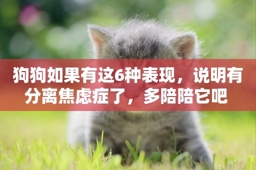 狗狗如果有這6種表現，說明有分離焦慮癥了，多陪陪它吧 