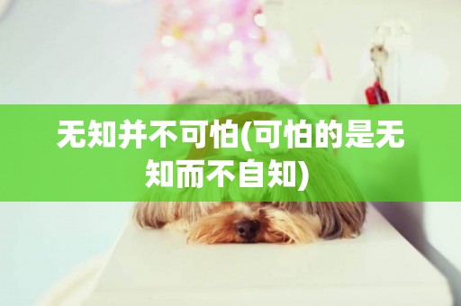 無知并不可怕(可怕的是無知而不自知) 