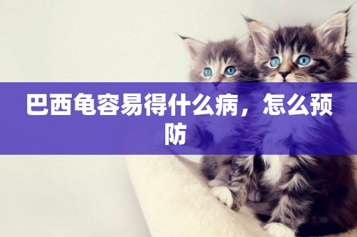巴西龜容易得什么病，怎么預防 