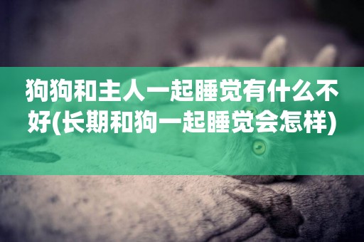 狗狗和主人一起睡覺有什么不好(長期和狗一起睡覺會怎樣) 