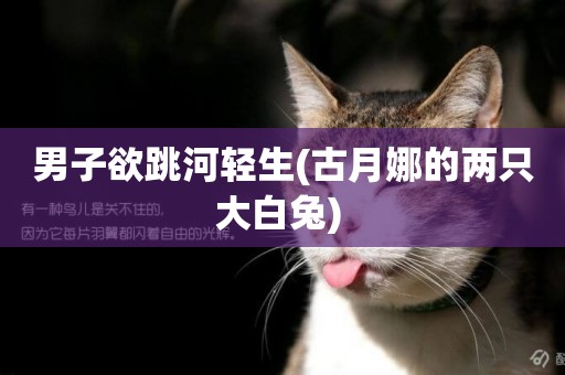男子欲跳河輕生(古月娜的兩只大白兔) 