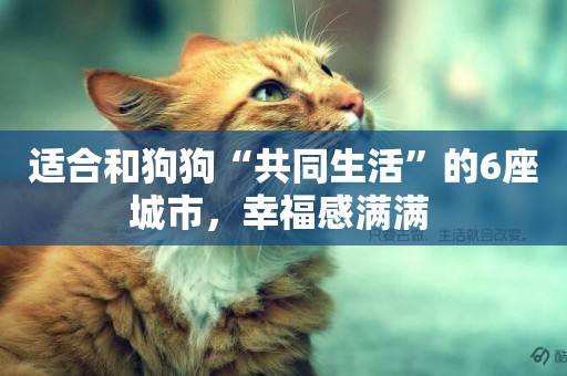 適合和狗狗“共同生活”的6座城市，幸福感滿滿 