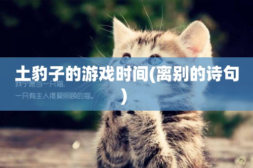 土豹子的游戲時間(離別的詩句) 