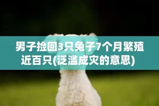 男子撿回3只兔子7個月繁殖近百只(泛濫成災的意思) 