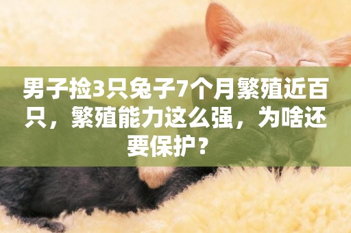 男子撿3只兔子7個月繁殖近百只，繁殖能力這么強，為啥還要保護？ 