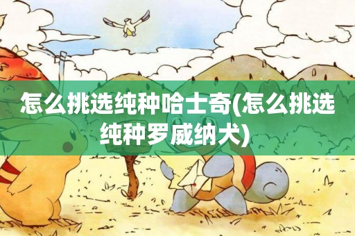 怎么挑選純種哈士奇(怎么挑選純種羅威納犬) 