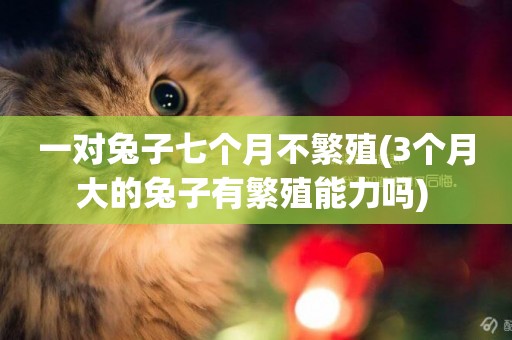 一對兔子七個月不繁殖(3個月大的兔子有繁殖能力嗎) 