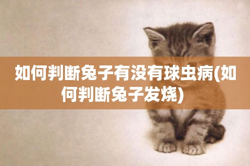 如何判斷兔子有沒有球蟲病(如何判斷兔子發燒) 