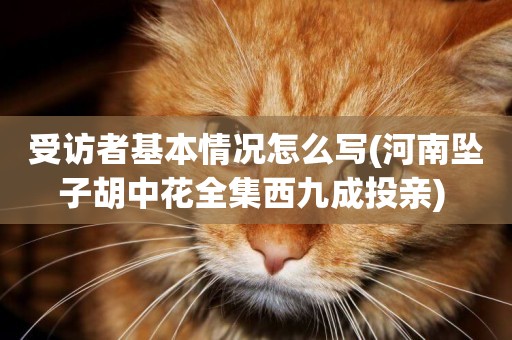 受訪者基本情況怎么寫(河南墜子胡中花全集西九成投親) 