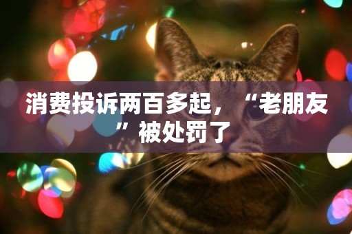 消費投訴兩百多起，“老朋友”被處罰了 