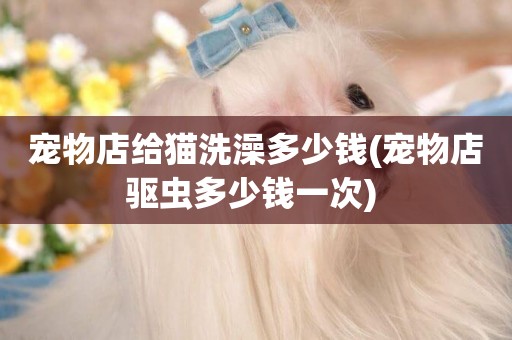 寵物店給貓洗澡多少錢(寵物店驅蟲多少錢一次) 