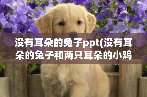 沒有耳朵的兔子ppt(沒有耳朵的兔子和兩只耳朵的小雞繪本) 
