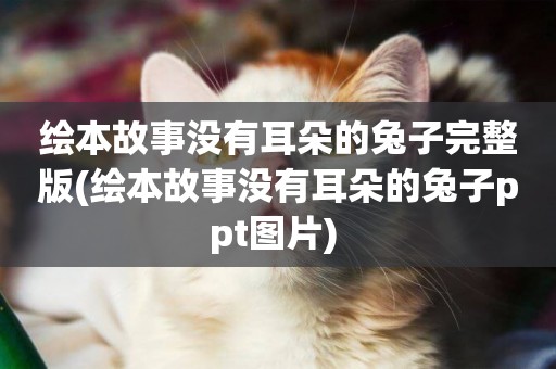 繪本故事沒有耳朵的兔子完整版(繪本故事沒有耳朵的兔子ppt圖片) 