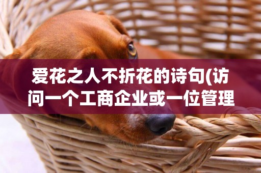 愛花之人不折花的詩句(訪問一個工商企業或一位管理者1000字實訓報告) 
