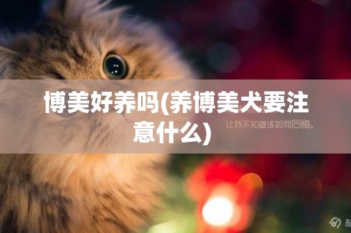 博美好養嗎(養博美犬要注意什么) 