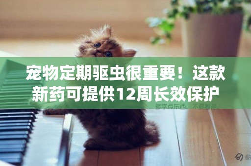 寵物定期驅蟲很重要！這款新藥可提供12周長效保護 